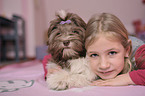 girl with havanese