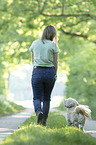 woman with Havanese