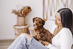 young woman with young havanese