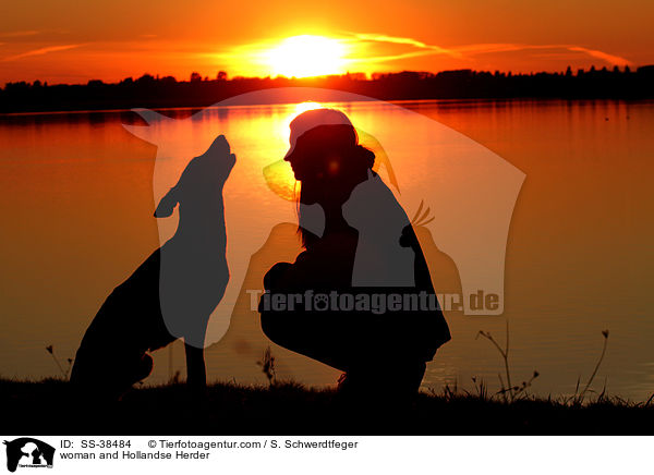 Frau und Hollandse Herder / woman and Hollandse Herder / SS-38484