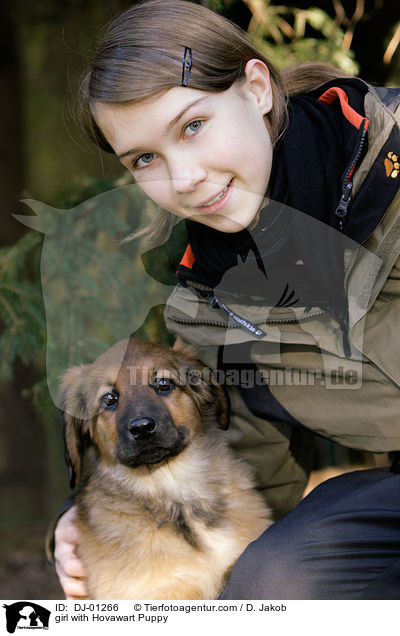Mdchen mit Hovawart Welpe / girl with Hovawart Puppy / DJ-01266