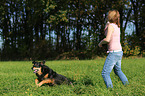 running Hovawart