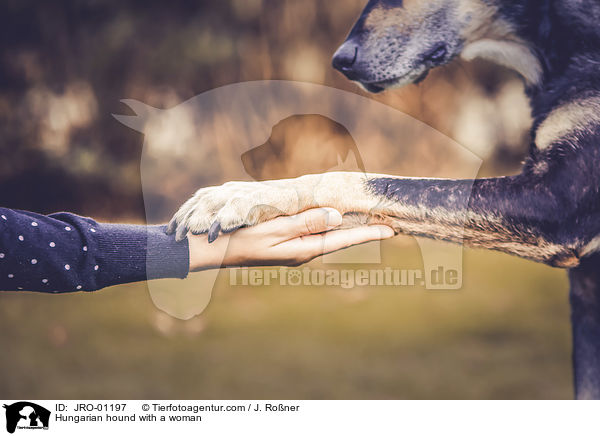 Hungarian hound with a woman / JRO-01197
