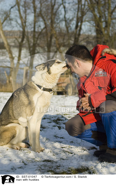 Mann mit seinen Huskies / man with huskies / SST-01047