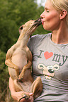 woman and Italian Greyhound