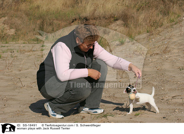 Frau spielt mit Parson Russell Terrier / woman plays with Parson Russell Terrier / SS-18491