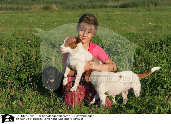 Mdchen und Jack Russell Terrier & Labrador Retriever / girl with Jack Russell Terrier & Labrador Retriever / SS-19794