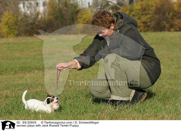 Frau mit Parson Russell Terrier Welpe / woman with Parson Russell Terrier Puppy / SS-20640