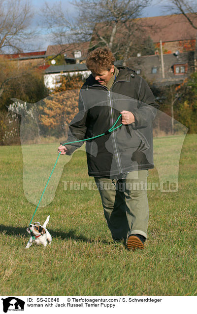 woman with Jack Russell Terrier Puppy / SS-20648