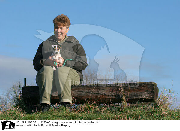 Frau mit Parson Russell Terrier Welpe / woman with Parson Russell Terrier Puppy / SS-20655