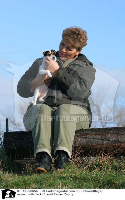 Frau mit Parson Russell Terrier Welpe / woman with Parson Russell Terrier Puppy / SS-20656