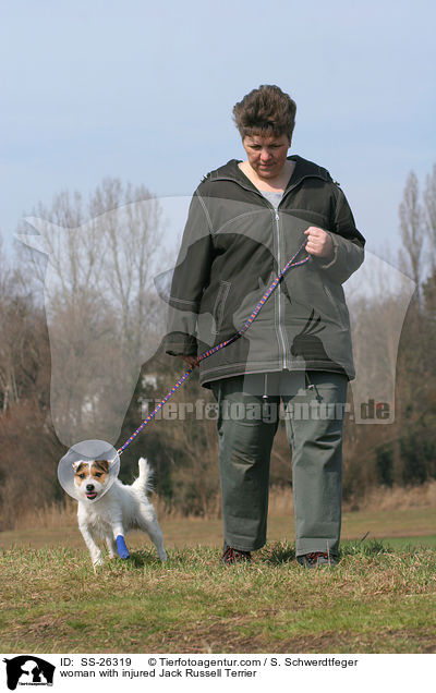 kranker Parson Russell Terrier beim Gassi / woman with injured Parson Russell Terrier / SS-26319