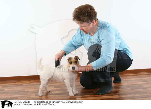Frau mit Parson Russell Terrier / woman with Parson Russell Terrier / SS-26786