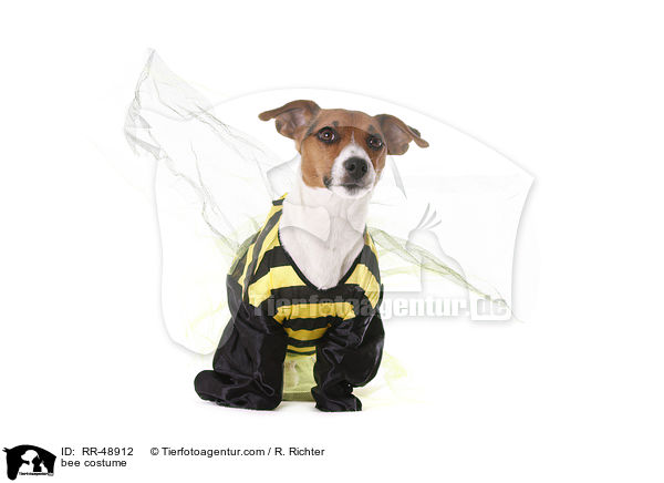 Biene Kostm / bee costume / RR-48912