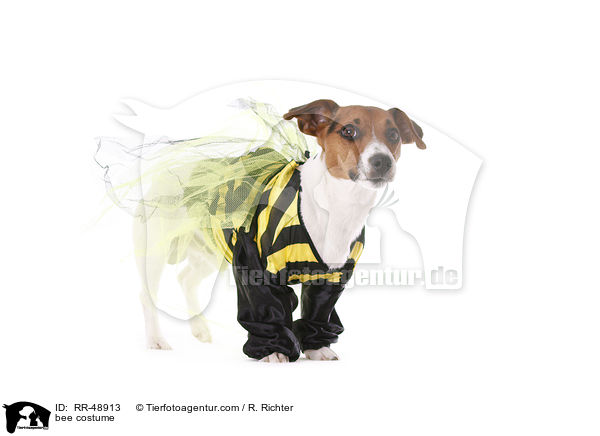 Biene Kostm / bee costume / RR-48913