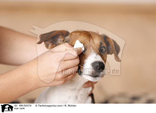 Augenpflege / eye care / RR-55079