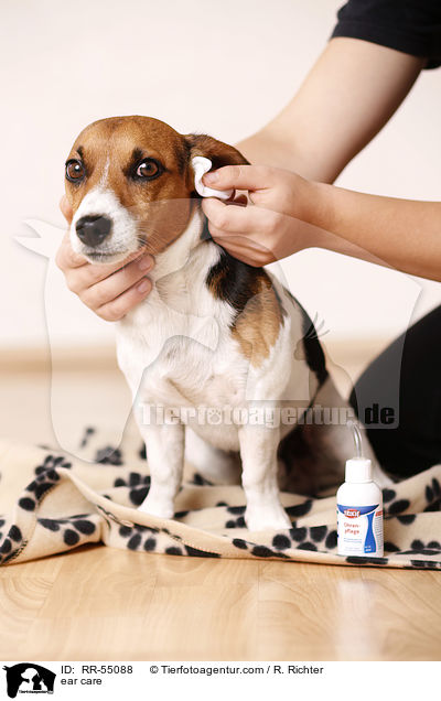 Ohrenpflege / ear care / RR-55088
