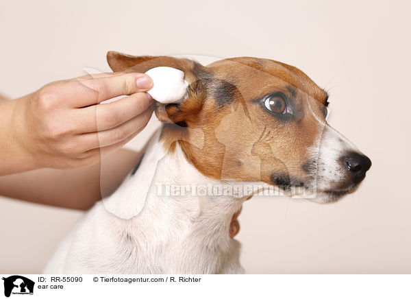ear care / RR-55090
