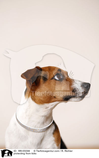 Zeckenschutzband / protecting from ticks / RR-55098