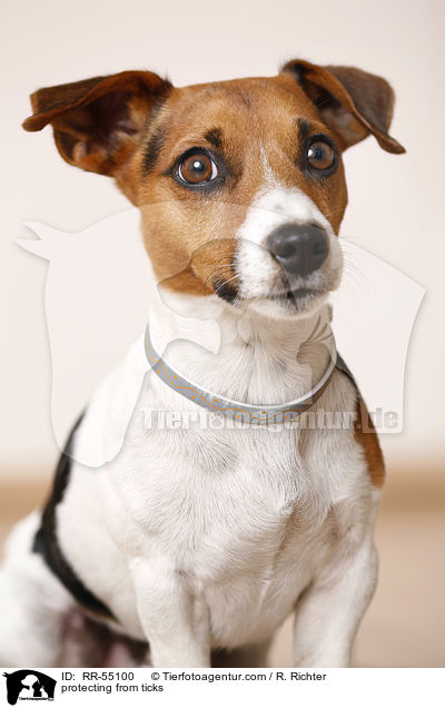 Zeckenschutzband / protecting from ticks / RR-55100