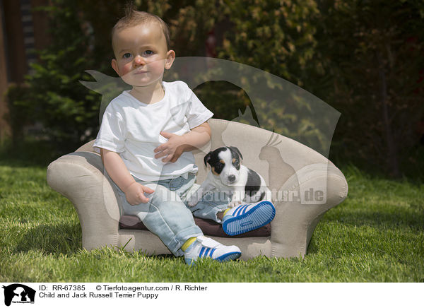 Kind und Jack Russell Terrier Welpe / Child and Jack Russell Terrier Puppy / RR-67385