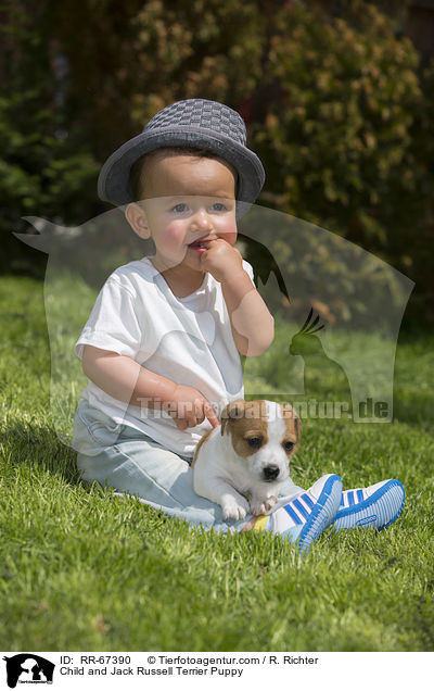 Kind und Jack Russell Terrier Welpe / Child and Jack Russell Terrier Puppy / RR-67390