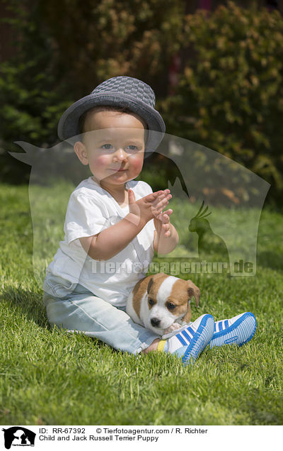 Kind und Jack Russell Terrier Welpe / Child and Jack Russell Terrier Puppy / RR-67392