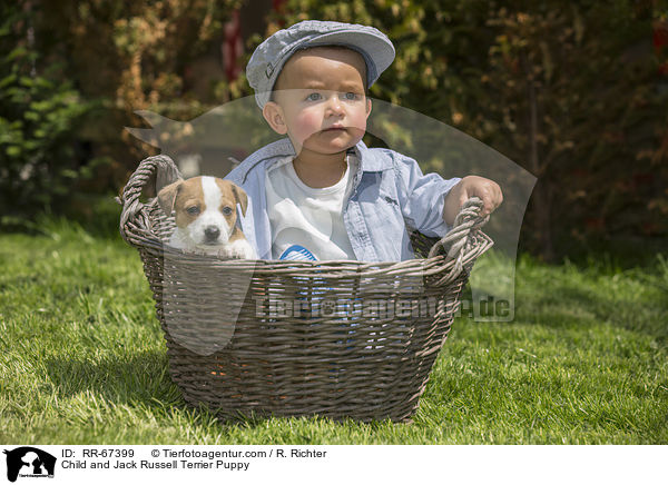Kind und Jack Russell Terrier Welpe / Child and Jack Russell Terrier Puppy / RR-67399