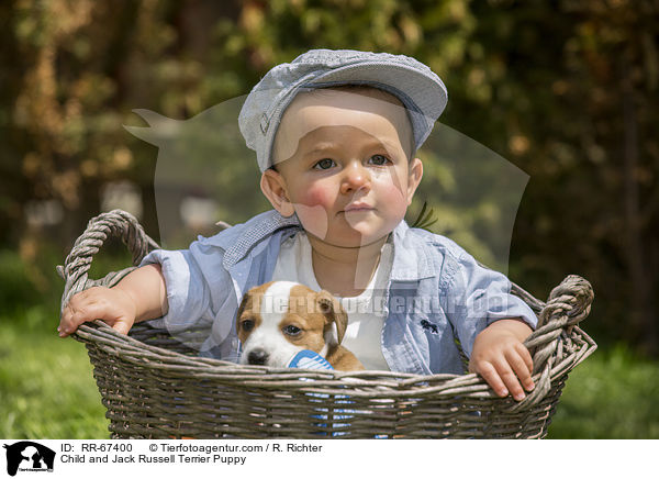 Kind und Jack Russell Terrier Welpe / Child and Jack Russell Terrier Puppy / RR-67400