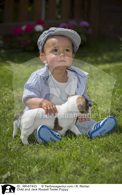 Kind und Jack Russell Terrier Welpe / Child and Jack Russell Terrier Puppy / RR-67403