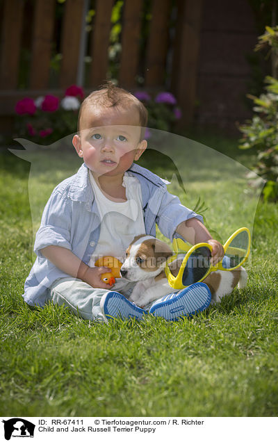 Kind und Jack Russell Terrier Welpe / Child and Jack Russell Terrier Puppy / RR-67411