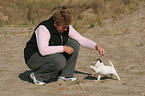 woman plays with Jack Russell Terrier