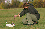 woman plays with Jack Russell Terrier Puppy