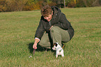 woman plays with Jack Russell Terrier Puppy