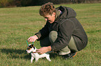 woman leashes a Jack Russell Terrier Puppy