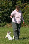 woman plays with Jack Russell Terrier