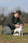 trimming a Jack Russell Terrier