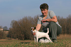 trimming a Jack Russell Terrier