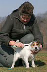 woman is brushing a Jack Russell Terrier
