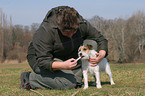 deworming a Jack Russell Terrier