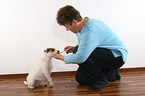 deworming a Jack Russell Terrier