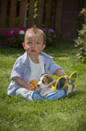 Child and Jack Russell Terrier Puppy