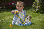 Child and Jack Russell Terrier Puppy