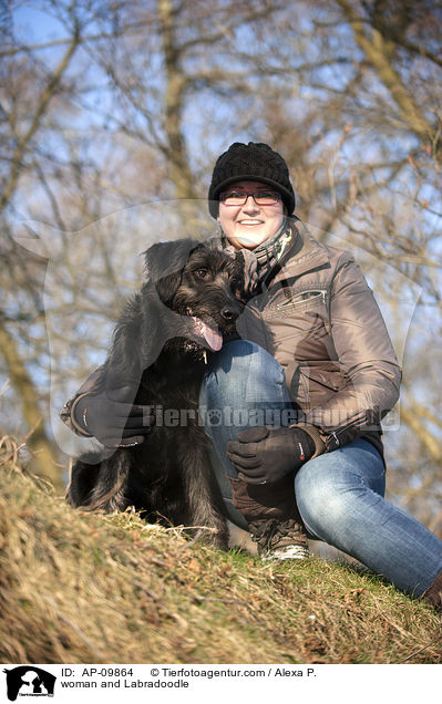 Frau und Labradoodle / woman and Labradoodle / AP-09864