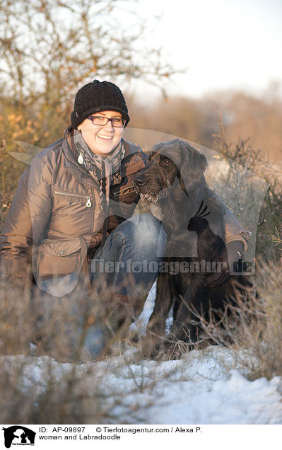woman and Labradoodle / AP-09897
