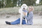 woman and Labradoodle