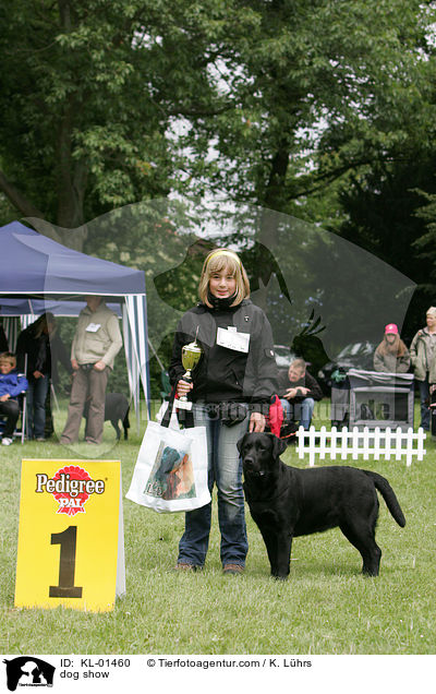 Hundeausstellung / dog show / KL-01460