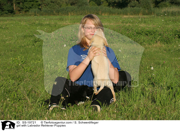 Mdchen und Labrador Retriever Welpen / girl with Labrador Retriever Puppies / SS-19721