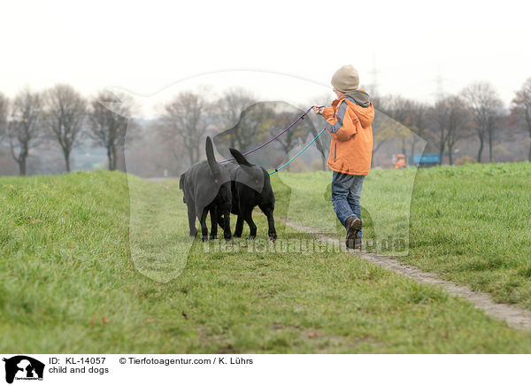 Kind und Hunde / child and dogs / KL-14057