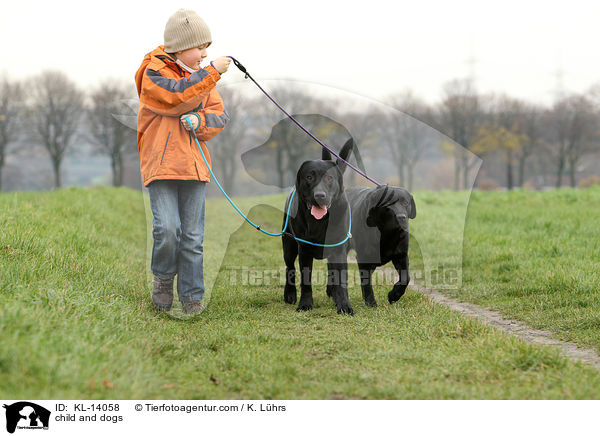 Kind und Hunde / child and dogs / KL-14058